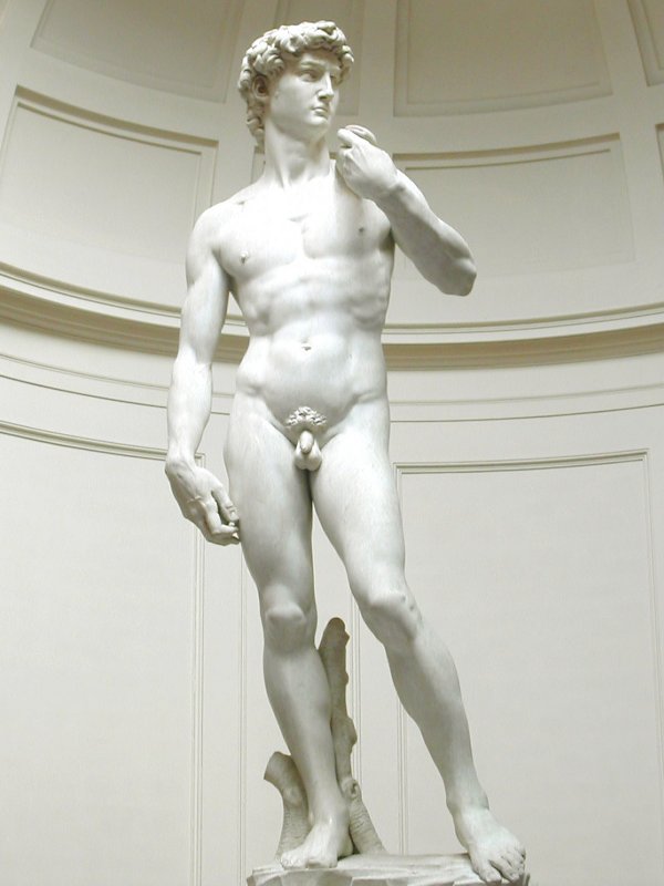 Michelangelo: David