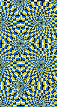 Optical 
Illusion